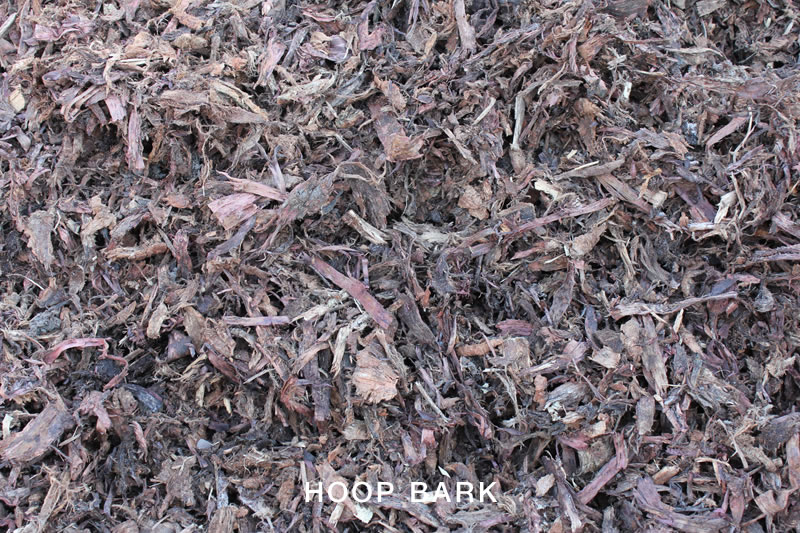 Hoop Bark