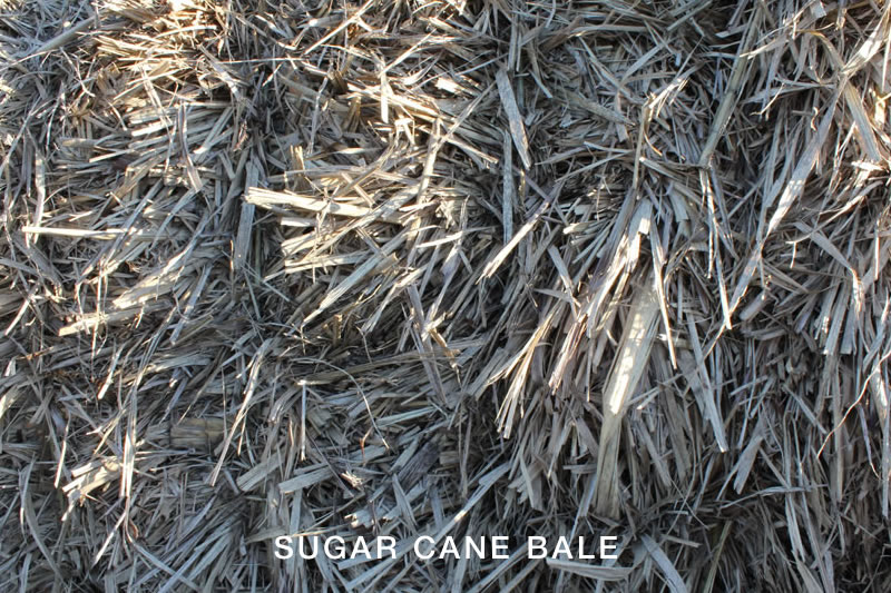 Sugar Cane Bale