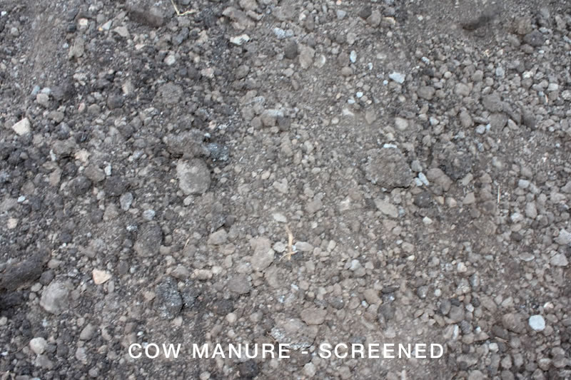 Cow Manure Screened